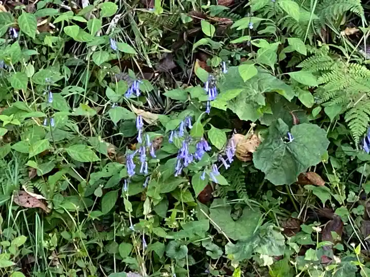 文保寺(兵庫県)