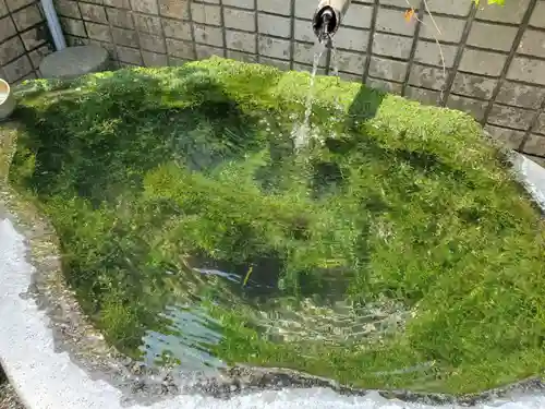 正覚院の手水舎