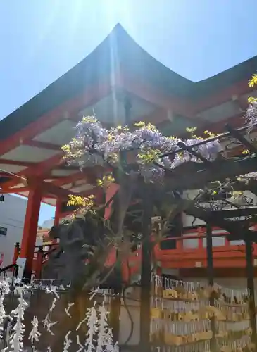 善國寺(東京都)