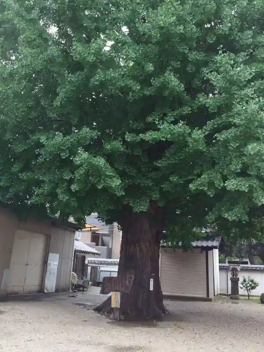 姪浜住吉神社(福岡県)