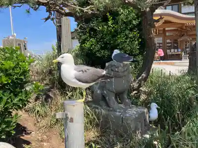 蕪嶋神社(青森県)