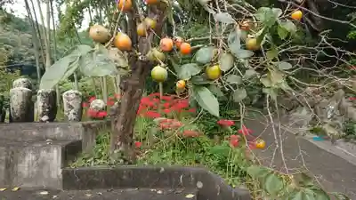 隠了寺(静岡県)