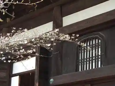 真正極楽寺(真如堂)の本殿・本堂