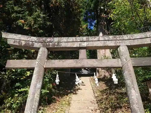 戸隠神社火之御子社の鳥居