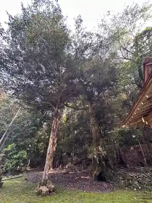 春日神社(京都府)