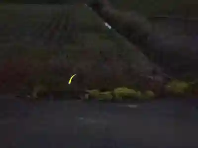 丹生都比売神社(和歌山県)