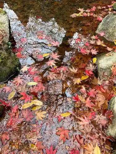 金剛輪寺(滋賀県)