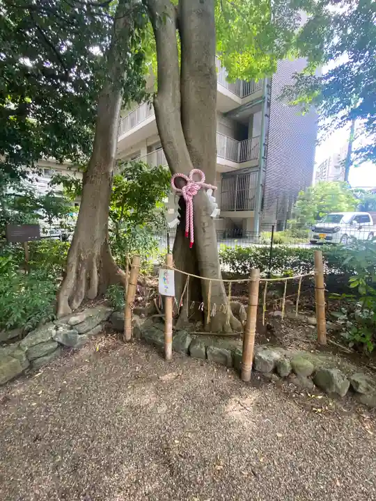 伊和志津神社(兵庫県)