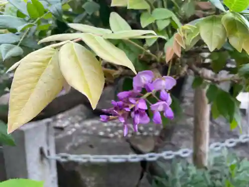 奈加美神社の自然