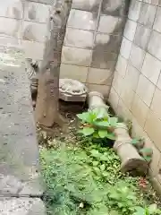 武蔵御嶽神社の建物その他