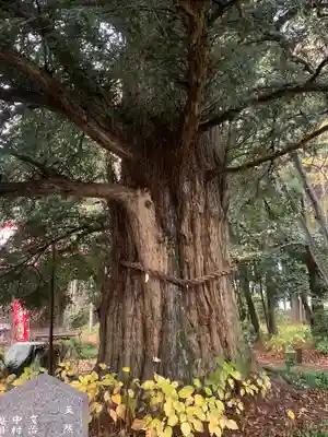 遍照寺(栃木県)