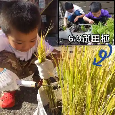 七重浜海津見神社(北海道)