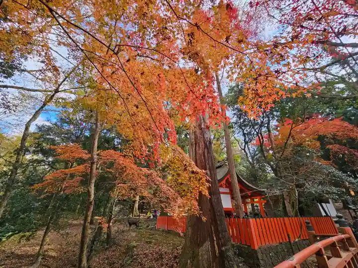 春日大社(奈良県)