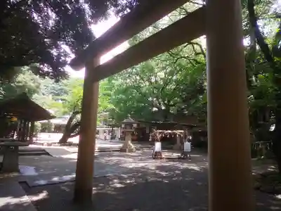 乃木神社の鳥居