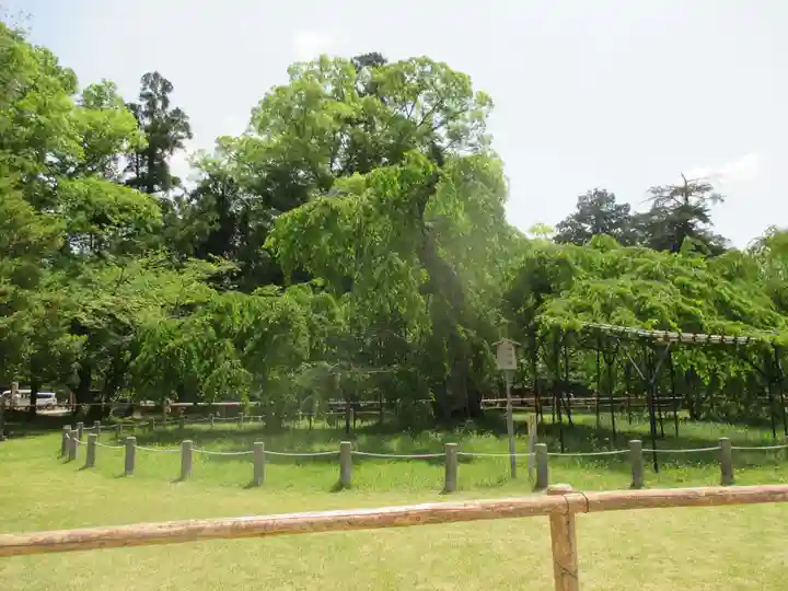 賀茂別雷神社(上賀茂神社)の庭園
