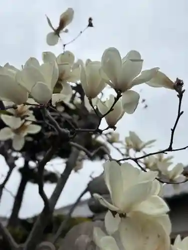 無量寿院(兵庫県)