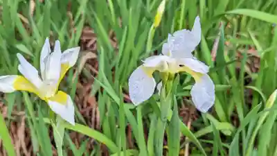 金常寺大石不動院(三重県)