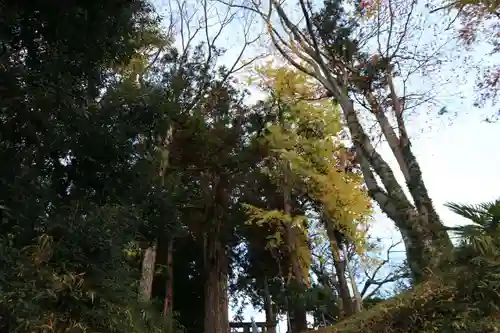 阿久津「田村神社」（郡山市阿久津町）旧社名：伊豆箱根三嶋三社の景色