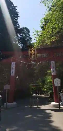 大崎八幡宮の鳥居