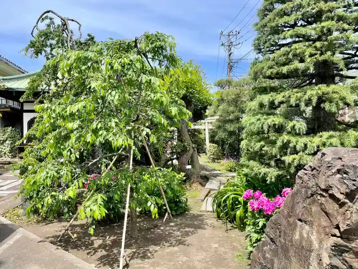 通校神社(神奈川県)