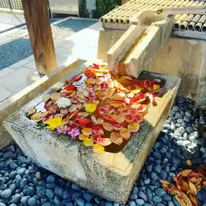 くろ谷 金戒光明寺の手水舎(2020年10月29日(木) 20時37分34秒投稿)