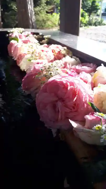 新琴似神社の手水舎