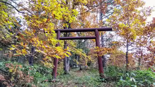 沼崎神社の鳥居