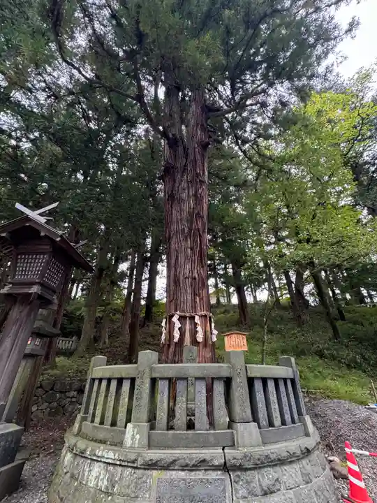 諏訪大社下社春宮(長野県)