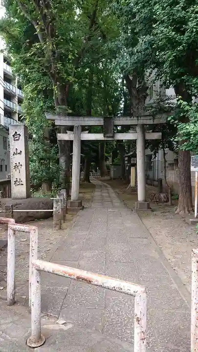 荻窪白山神社の鳥居