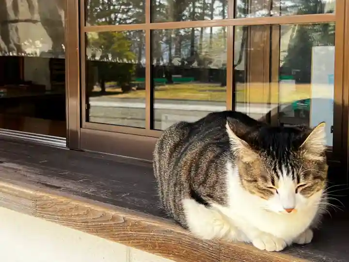山梨縣護國神社の動物