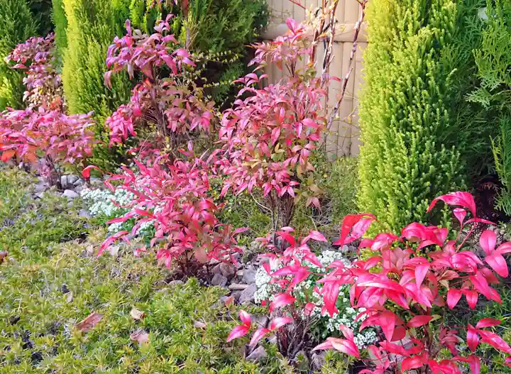 寿量山 速成寺の庭園