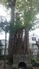 豊受神社の手水