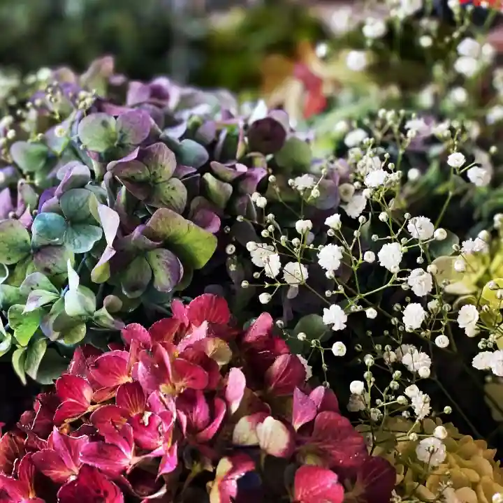 札幌諏訪神社の手水舎
