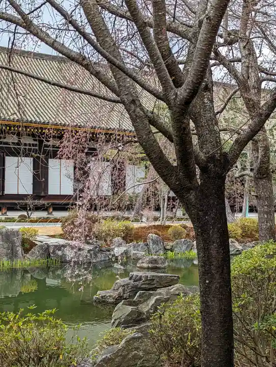 蓮華王院(三十三間堂)の庭園
