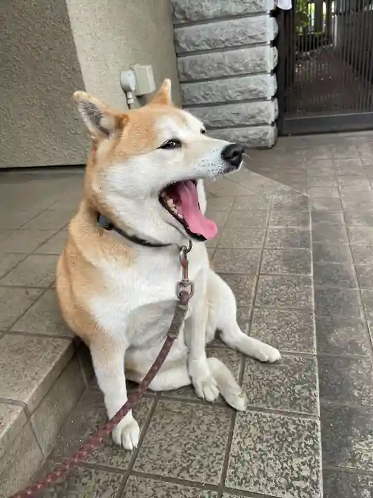 笠䅣稲荷神社(神奈川県)