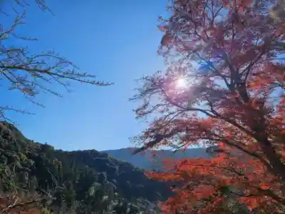 長谷寺(奈良県)