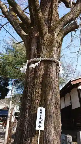 桐生天満宮の自然