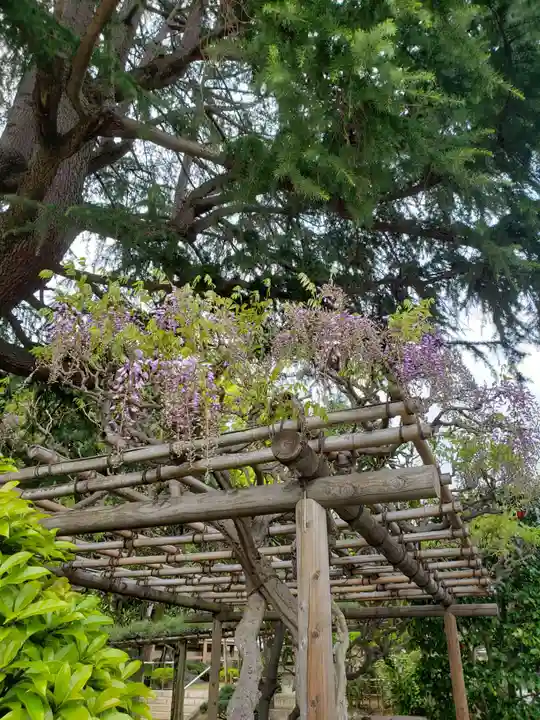 東光寺(東京都)