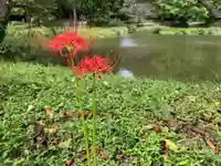 稱名寺(神奈川県)