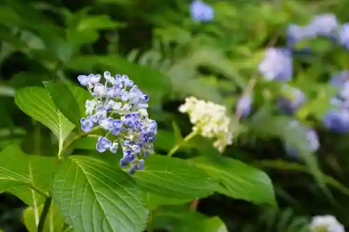 杉山谷不動尊(京都府)