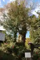 八幡神社(山梨県)