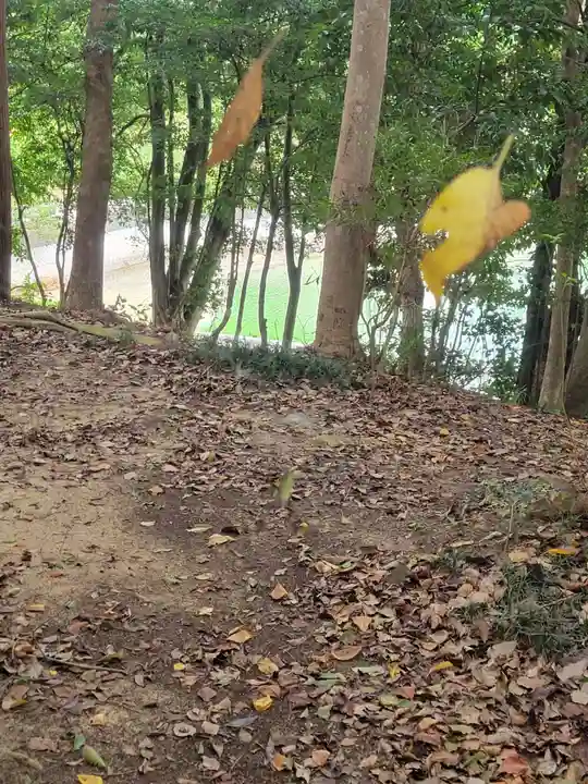 素鵞神社(愛媛県)