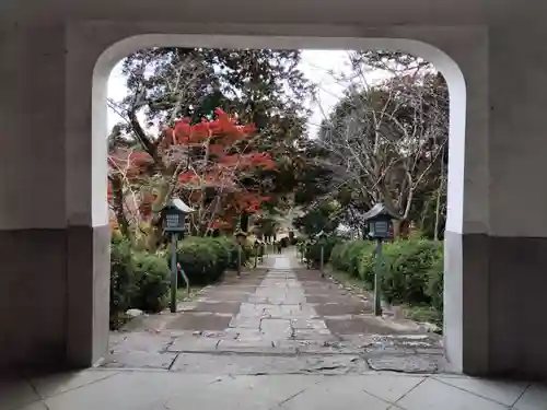 根来寺(和歌山県)