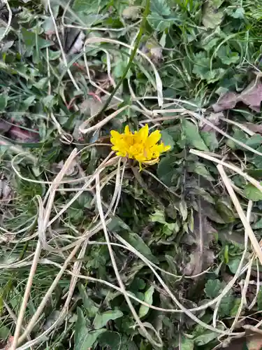 岩屋寺(京都府)
