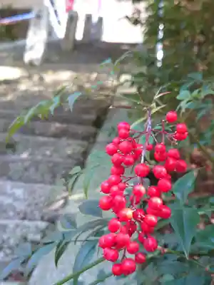 宝厳寺(滋賀県)