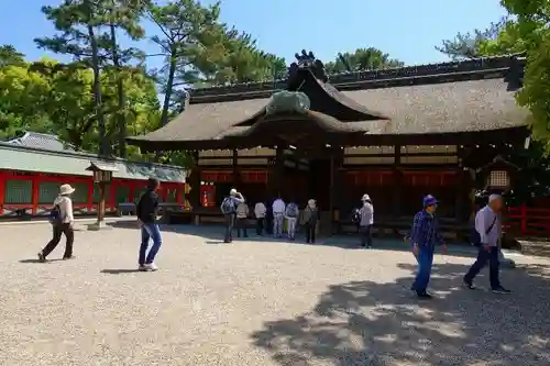 住吉大社の本殿