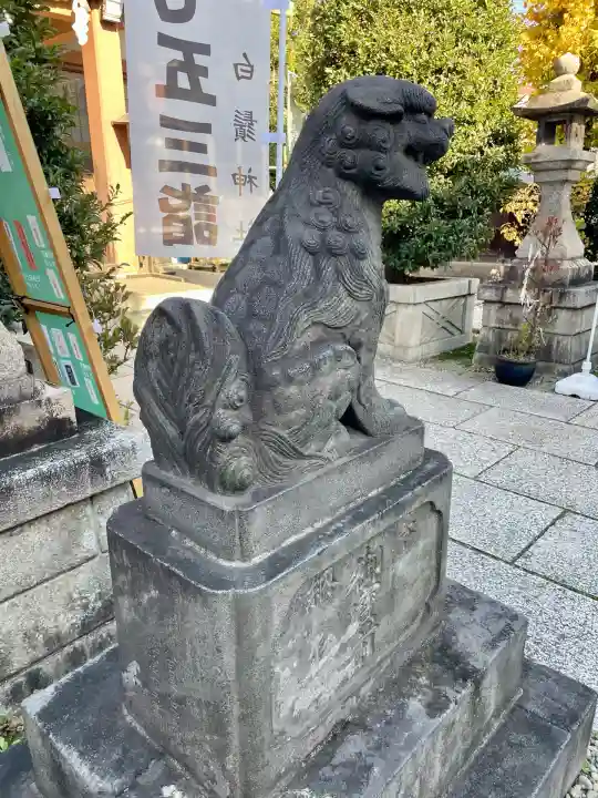 白鬚神社(東京都)