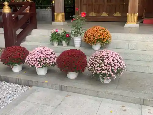 鈴鹿明神社(神奈川県)