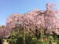 法金剛院(京都府)