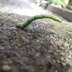 七重浜海津見神社(北海道)